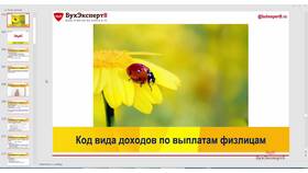 Что обозначают коды доходов в Savage