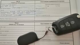 Что обозначают знаки на Авито в Savage