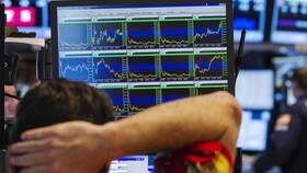 Что означает показатель P/E акции в Savage