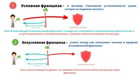 Что означает страховка без франшизы в Savage