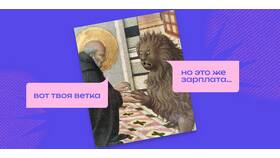 Что происходит с зарплатами: текущая ситуация и тенденции в Savage