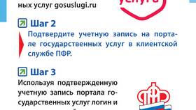 Что такое 1 пенсионный в Savage