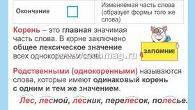 Что такое приставка, суффикс и окончание в Savage
