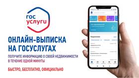Что такое социально значимые услуги в Savage