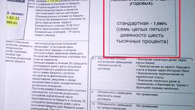 Что значит сумма кредита в Savage