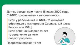 Для чего оформляют СНИЛС в Savage