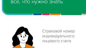Для чего требуют номер СНИЛС в Savage