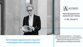 Госуслуги: регистрация юридического лица в Savage