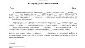 Как доказать факт займа денежных средств в Savage