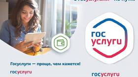 Как оформить ТСР инвалиду через Госуслуги в Savage