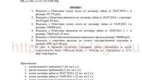 Как оплатить госпошлину за исковое заявление в Savage