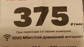 Как подключить тариф МТС Домашний интернет в Savage