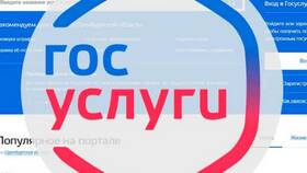 Как подтвердить учетную запись Йота на Госуслугах в Savage
