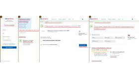 Как получить справку ИЛС через Госуслуги в Savage