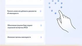 Как получить справку об инвалидности через Госуслуги в Savage