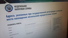 Как получить сведения о юридическом лице в Savage