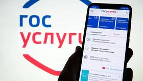 Как получить земельный участок через Госуслуги в Savage