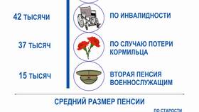 Как понять страховую пенсию по старости в Savage