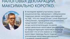 Как правильно оформить нулевую налоговую декларацию в Savage