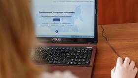 Как проголосовать онлайн через Госуслуги в Savage