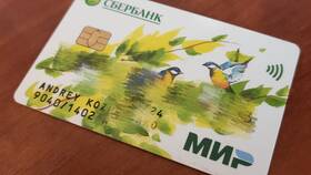 Как проверить карту МИР Сбербанка в Savage