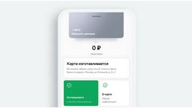 Как установить и настроить приложение Сбербанк Онлайн для карты МИР в Savage
