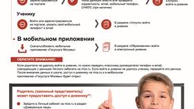 Как войти в электронный дневник через Госуслуги в Savage