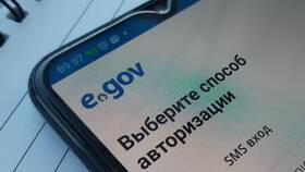 Как взять справки через ЕГОВ в Savage