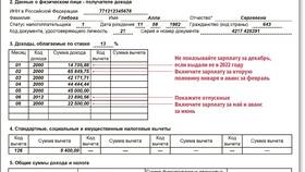 Как заполнить справку о доходах в Savage