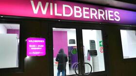 Почему не получается разблокировать кошелек Wildberries в Savage