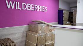 Почему Wildberries ввел платную доставку в Savage