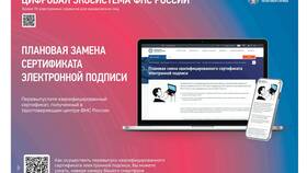 Причины существования налоговой системы в Savage