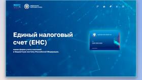 Пришел единый налоговый платеж: что это в Savage