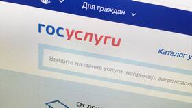 Срок действия оплаты на портале Госуслуги в Savage