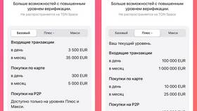 Верификация отклонена в Telegram Wallet: что делать? в Savage