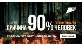 Заявление о заранее данном акцепте: что это такое в Savage